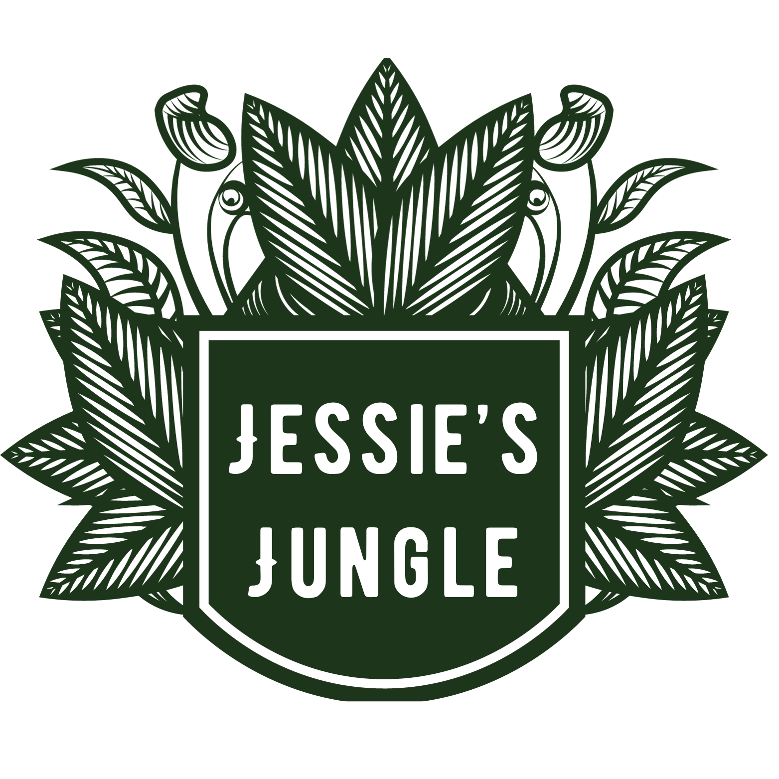 Jessie's Jungle